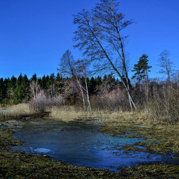Frühling / vesna