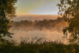 Nebliger Morgen / ***