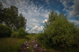 Landschaft mit Straßen- / ***