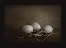 Nest / Digital art
