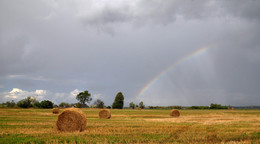 Nach dem Regen / ***