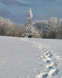 Footprints / ***