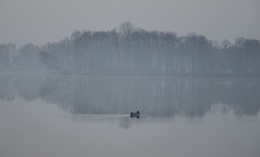 Einsamkeit / ***
