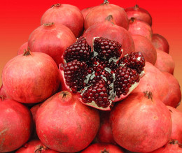 Punica granatum / ***