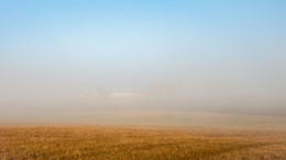 Nebliger Morgen / ====