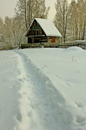 Winter / ***