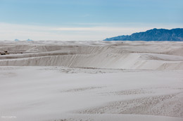  / New Mexico
