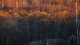 Farben des Sonnenuntergangs / ***