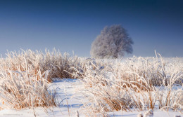 Winter / ***