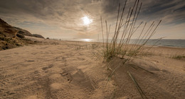 am Meer / ***
