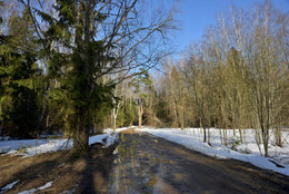 Forststraße / ***