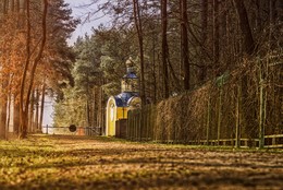 Der Weg zum Tempel / ***