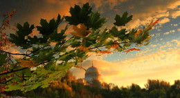 Ein Tag im Herbst / ***