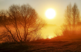 New Day / ***