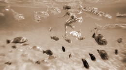 Fisch / ***