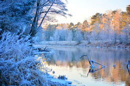 Winter / ***