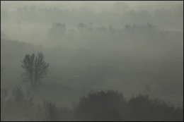 Morgen / ***