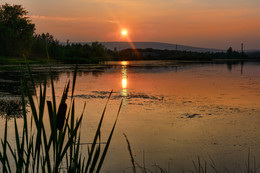 Abendlicht / ***
