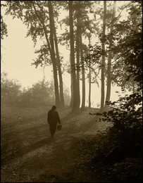 Morgen in den Wald / ***
