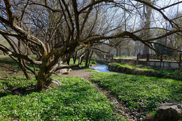 Erste Green / ***