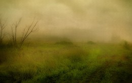 Nebel / ***