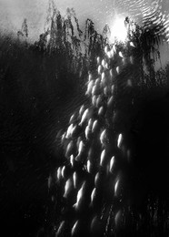 Summer Dreams / ***
