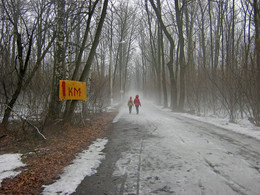 Der Frühling kommt / ***