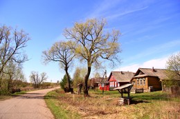 Der Frühling kommt / ***