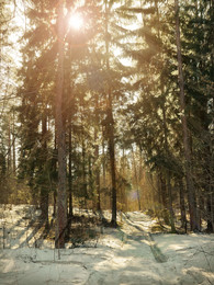 Der Frühling kommt / ***