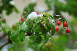 Schlechtes Wetter / ***