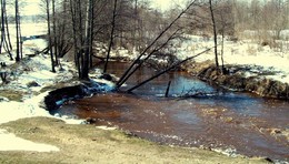 Der Frühling kommt / ***