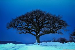 Cold feeling / Landscape in Denmark