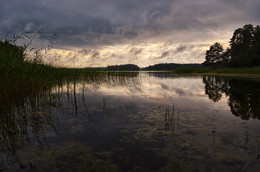 Nach dem Regen / ***
