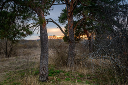 Abend / ***