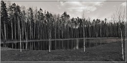 Sorcerer See / ***