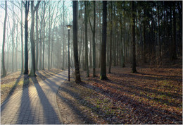 Leichte Feder / ***