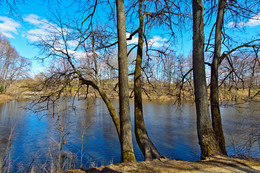 Am See / ***