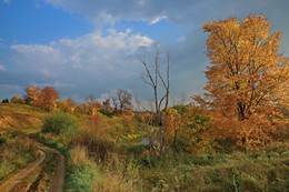 Herbstfarben. / ***