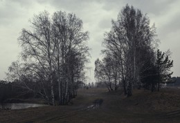  / ***