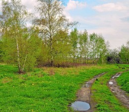 Frühlings-regen / ***
