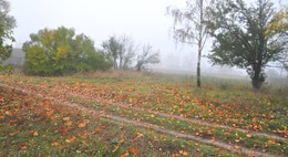 Autumn Pastoral / ***