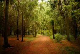 ... Walk in the Park / ***
