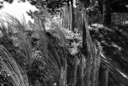 Sonnig / ***