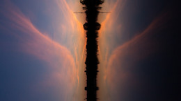 Skyfly / ***