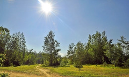 Sonniger Morgen / ***