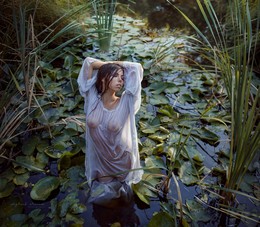 Nymph / ***