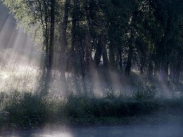 Am Teich ... / ***