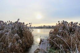 Herbst / ***