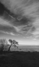 Auf dem Meer / ***