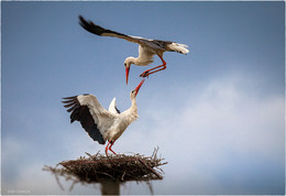 Das Treffen ... / ***